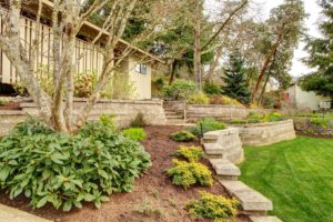 A large garden retaining wall.